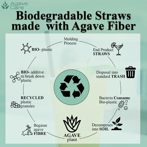 Vista 8 de Paquete de 2000 pajitas envueltas biodegradables de 9.85 pulgadas fabricadas con fibras de agave, una opción natural respetuosa con el medio