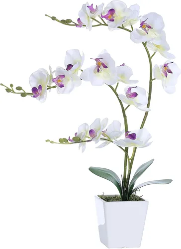 Vista 13 de Arreglos de macetas de plantas de flores de orquídea Phalaenopsis de seda artificial de 15 pulgadas de alto (verde manzana)
