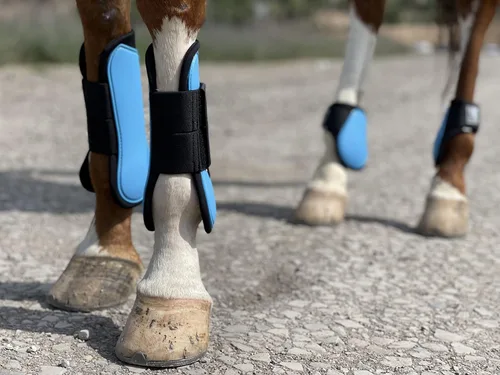 Vista 3 de Ride Now Juego de 4 botas de tendón de caballo con frente abierto/Fetlock para caballo