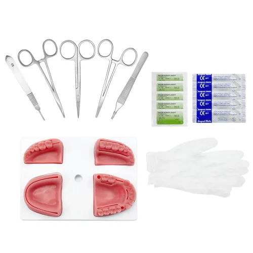 Vista 10 de Kit de práctica de sutura dental, kit de sutura oral YOUYA DENTAL para entrenamiento de sutura con corte biónico de encías oral y sutura gingival, 2