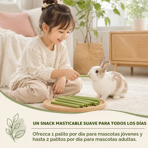 Vista 5 de 35 palitos masticables de conejo, juguetes molares para conejillos
