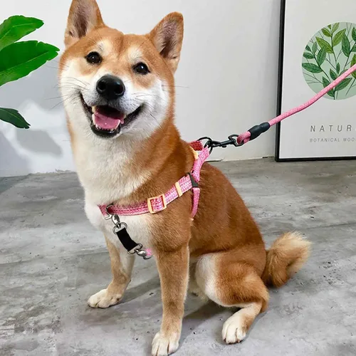 Vista 5 de Clip de seguridad de respaldo para collar de perro pequeño, clip de collar de punta para mini perros, deslizamiento suave de doble extremo