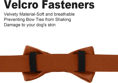 Vista 2 de Collares para perros con lazo, collar de terciopelo para cachorros con hebilla de seguridad de aleación de zinc, collar de lazo suave ajustable