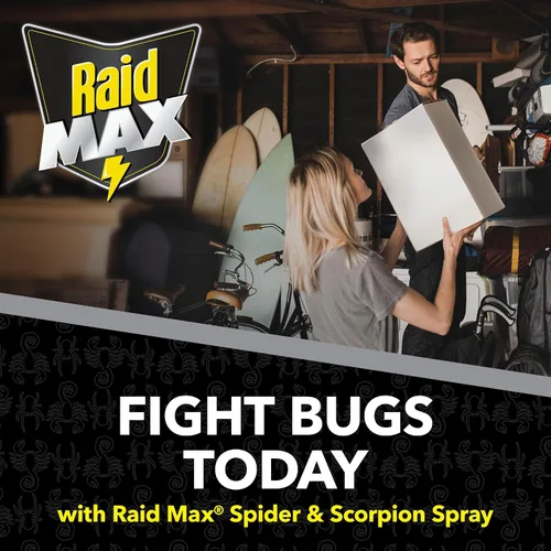 Vista 19 de Raid Max exterminador de arañas y escorpiones de 12 onzas