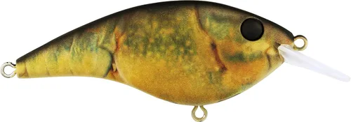 Vista 38 de Berkley Frittside Fishing Hard Bait Bronceado en aerosol