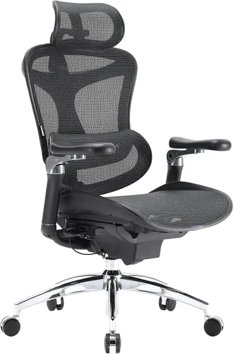 SIHOO Doro C300 Pro - Silla ergonómica de oficina con apoyabrazos ultrasuaves de 6D, soporte lumbar dinámico, ajuste de profundidad del asiento,