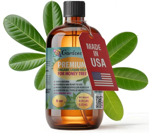 Vista 32 de GARDENERA Spray orgánico profesional de algas marinas para plantas AGLAONEMA – 8 oz – Rocío fertilizante de algas marinas y algas marinas totalmente