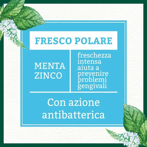 Vista 4 de Antica Erboristeria: Pasta dental refrescante "Fresco Polare" - Tubos de 2.5 onzas líquidas (2.5 fl oz) (paquete de 2) [Importación italiana]