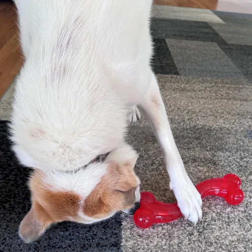 Vista 6 de Ethical Pets juguete hueso de perro en forma de “S” de hule indestructible, prácticamente fuerte para jugar, juguete para masticar para perros de 12