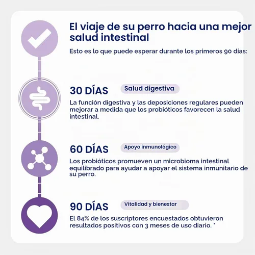 Vista 5 de Probióticos para perros, probióticos para la salud intestinal del perro, la salud gastrointestinal promueve la digestión y la absorción