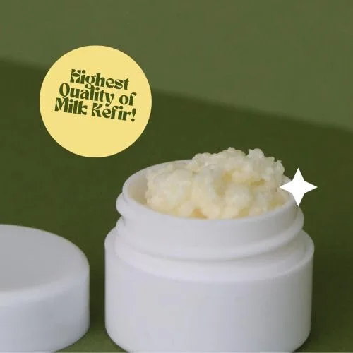 Vista 6 de Granos de kéfir de leche para hacer bebidas probióticas de kéfir