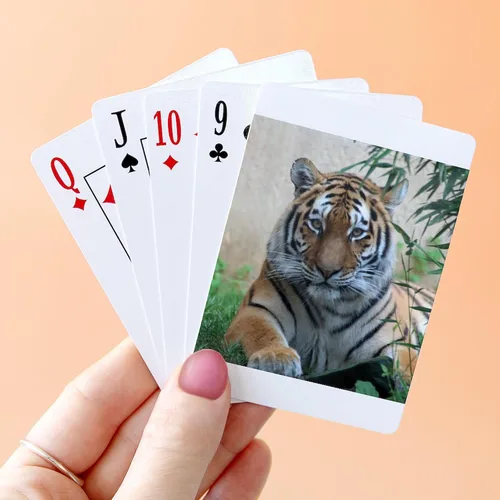 Vista 4 de CafePress Tiger20180701ByJamfoto Standard Size Playing Cards