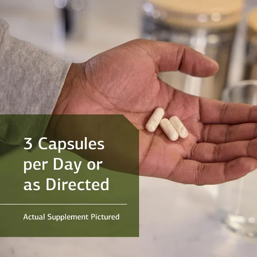 Vista 3 de Standard Process ProSynbiotic - Suplemento de alimentos integrales para los intestinos, apoyo inmunológico, digestión y salud digestiva
