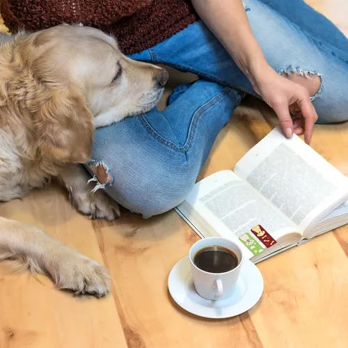 Vista 5 de 48 marcadores magnéticos para perros, bonitos marcadores magnéticos para mascotas, para escuela, oficina, hogar, lectura, profesores, estudiantes