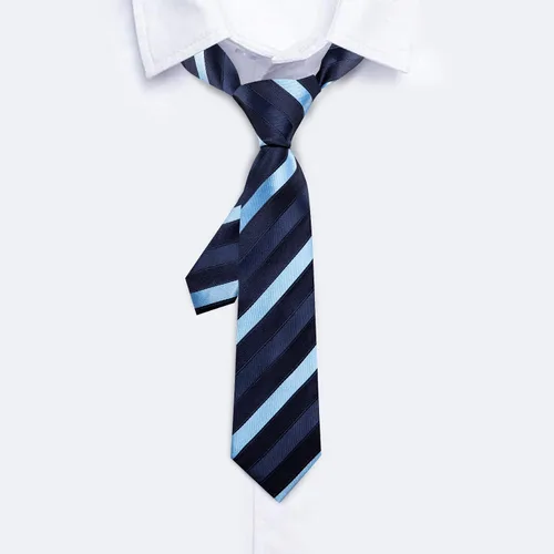 Vista 350 de Barry.Wang Corbata de niño regular seda tejida rayas sólido lazo bolsillo cuadrado