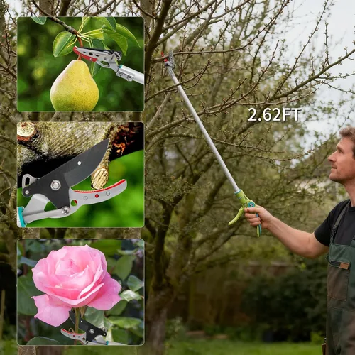 Vista 2 de GARTOL - Podadora de largo alcance con corte y retención, podadora de poste de 32 pulgadas ligera, mango largo, corta hasta 1/2 pulgada, uso con una
