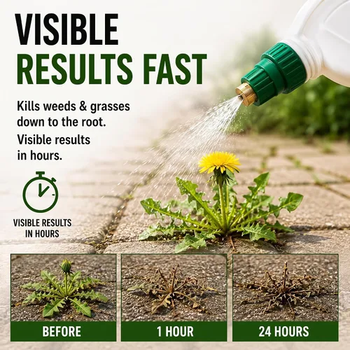 Vista 7 de Natural Armor herbicida y hierba (1 caja de repuestos de 4 galones) Funciona en menos de 1 hora natural herbicida y hierba sin glifosato
