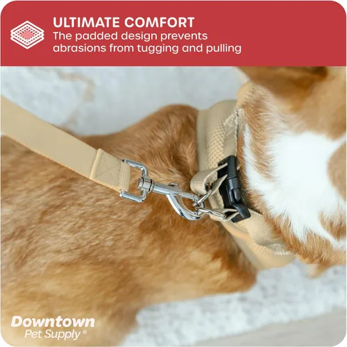 Vista 197 de Downtown Pet Supply Arnés para perro Step-in – Sin tirones, malla acolchada ajustable con ribete reflectante, correa de hebilla segura – Arnés