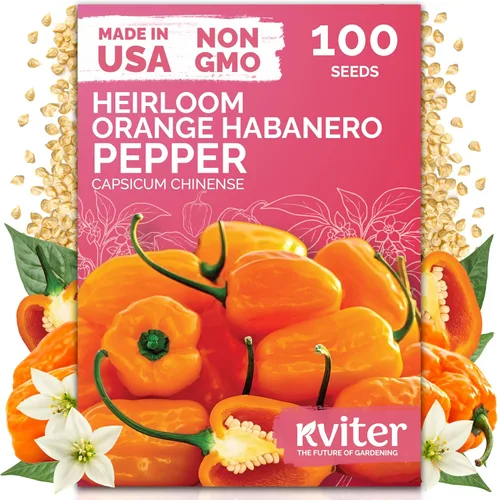 Vista 143 de 500 Ball's Orange Calendula Heirloom Flower Seeds, Calendula Officinalis