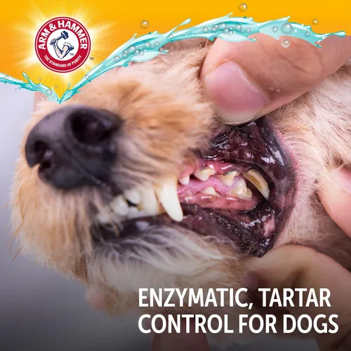 Vista 8 de Arm & Hammer Complete Care - Kit dental para perros, pasta de dientes enzimática para perros con sabor a pollo, cepillo de dientes y cepillo