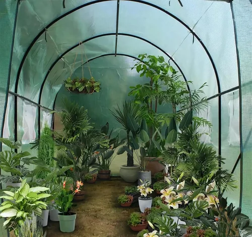 Vista 3 de Invernadero al Aire Libre con Puerta con Malla, Invernadero Resistente para Jardín al Exterior para Plantas de Jardín con Protección UV, Termostato