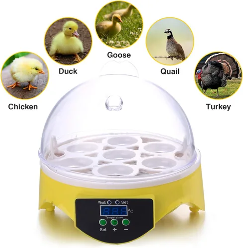 Vista 2 de Sailnovo Incubadora de huevos digital automática de pollo aves de corral incubadora de huevos, incubadoras para pájaros de codorniz de pato y ganso