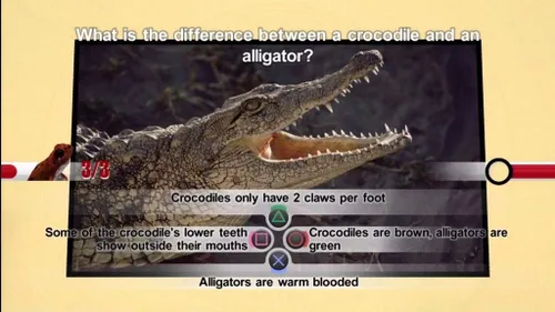 Vista 4 de National Geographic Quiz! Wild Life - Playstation 3