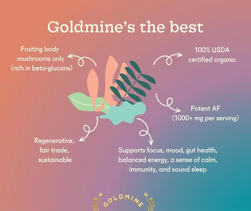 Vista 2 de Goldmine Supershroom - Suplemento funcional de hongos Reishi, potente suplemento de cerebro vegano adaptógeno - Polvo de apoyo inmunológico (tarro)
