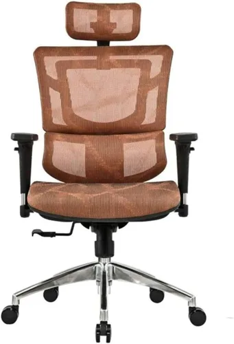 Vista 6 de Commercial Ergonomic High Back Executive Mesh Chair, with Adjustable Lumbar Support, Headrest and 3D Armrests(A)