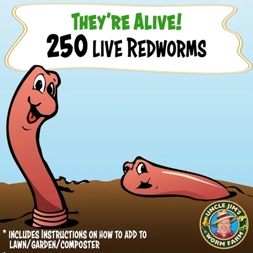 Vista 2 de Uncle Jim's Worm Farm Mezcla de gusanos de compostaje Red Wiggler de 250 unidades para suelo de jardín o pesca Paquete de iniciación de gusanos