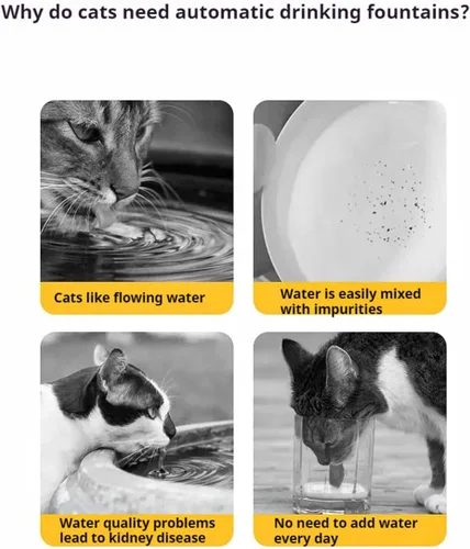 Vista 7 de Fuente de agua de cerámica para gatos, fuente de agua para gatos de 50 onzas / 1.5 litros para beber, fuente de agua para mascotas para gatos