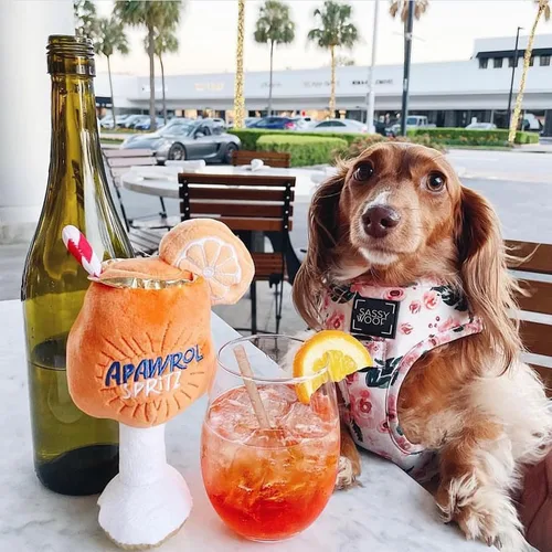 Vista 6 de Haute Diggity Dog Apawrol Spritz, juguetes de felpa de diseñador para perros con silbato interactivo, enriquecimiento para mascotas estimulante