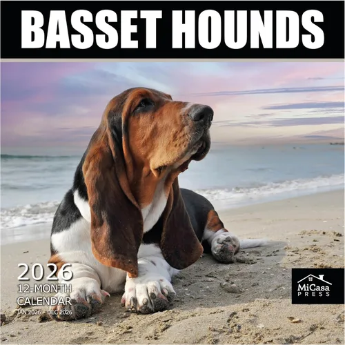 Vista 116 de MICASA PRESS Calendario de pared de Australian Shepherds Aussies 2027 02 - Pastores australianos