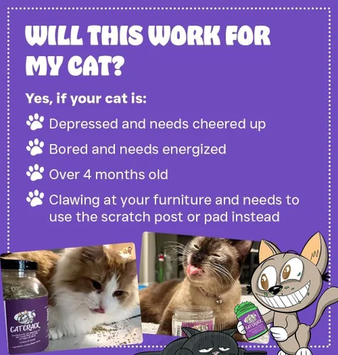 Vista 3 de Cat Crack Hierba gatera orgánica, mezcla orgánica 100% natural que energiza y excita a los gatos, golosinas seguras de hierba gatera utilizadas
