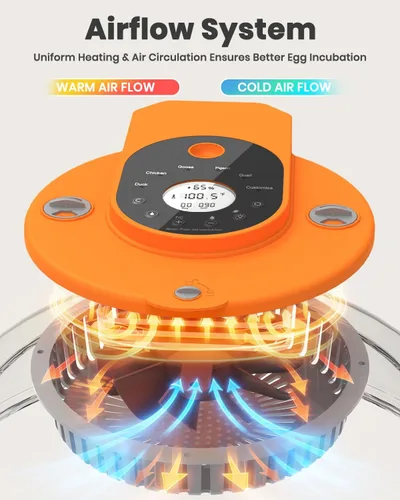 Vista 5 de Incubadora de 15 huevos con recarga lateral de agua, control automático de humedad, girador automático de huevos, temperatura ajustable, vela