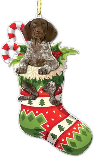 Vista 16 de Adorno acrílico plano de Navidad para perro de montaña bernés, adorable cachorro de montaña bernés en calcetín con bastones de caramelo, decoración