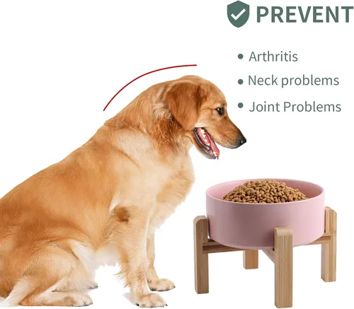 Vista 4 de Tazón de cerámica elevado y elevado para perros de razas pequeñas y medianas, cuenco de agua con soporte, plato de alimentación de mascotas pesado
