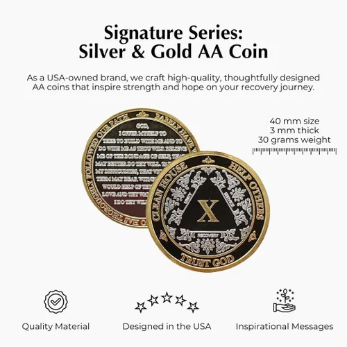 Vista 2 de Silver & Gold - Medallón de Alcohólicos Anónimos de 1 a 60 años (10 años (X)) Cápsula AA incluida