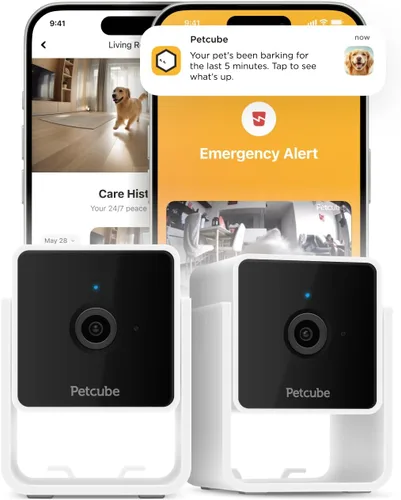 Vista 8 de Petcube Cam Cámara Wi-Fi interior para mascotas y de seguridad con aplicación para teléfono, monitor de mascotas con audio y video bidireccional