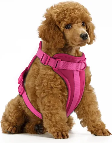 Vista 13 de Wisedog Arnés Ligero Sin Tirones para Perro: Arnés de Chaleco de Malla Transpirable Ajustable para Mascotas con Cojín Suave y Cómodo, para Perros