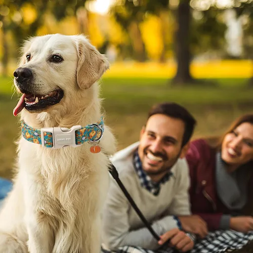 Vista 303 de Aring Pet Collar de algodón, ligero y ajustable, con hebilla de liberación rápida, para perros pequeños, medianos y grandes, para cachorros, S, Hoja