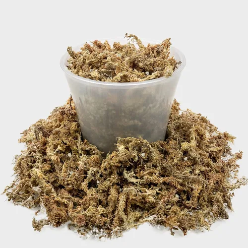 Vista 2 de Sphagnum - Mezcla para macetas de musgo para plantas carnívoras, mezcla de musgo y perlita para macetas, trampas para moscas Venus, sarracenia