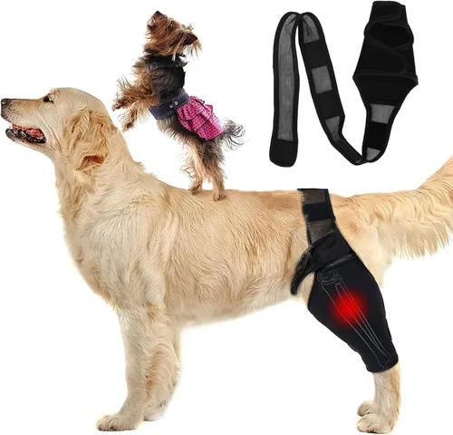 Vista 2 de Coderas protectoras para perros, soporte de codo de compresión para perros, soporte para codo canino y hombro, displasia, artritis, callos de codo