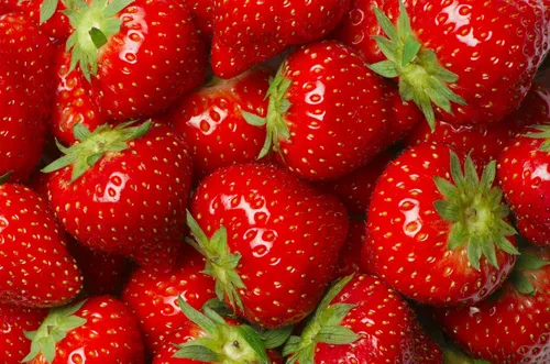 Vista 3 de 10 plantas de raíz desnuda de fresa roja para cultivar, extremadamente resistentes