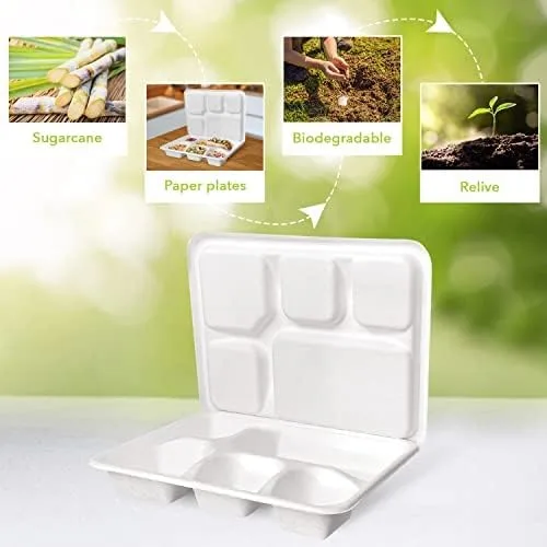 Vista 3 de three leaf Bandeja de Bagazo de 6 Compartimentos Resistente - Súper Fuerte - Natural - Ecológica Platos Desechables de Bagazo, 100% Biodegradables