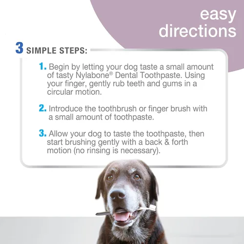 Vista 6 de Nylabone Advanced Oral Care - Kit dental para perros mayores con cepillo de dientes de cerdas suaves y acolchadas, 3