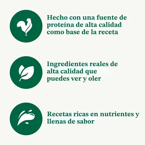 Vista 4 de Nutro - Golosinas crujientes para perros con manzana real, 10 onzas