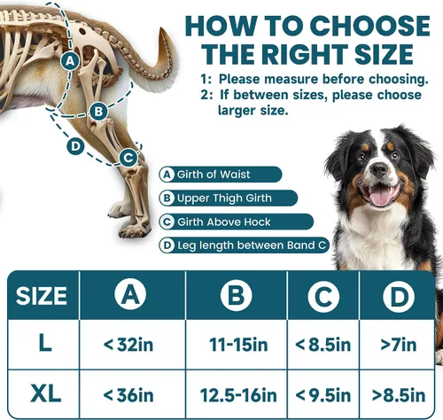 Vista 5 de Rodillera para perro para desgarro de ACL para pierna trasera con compresa caliente/fría, soporte ajustable para cadera de perro para desgarro