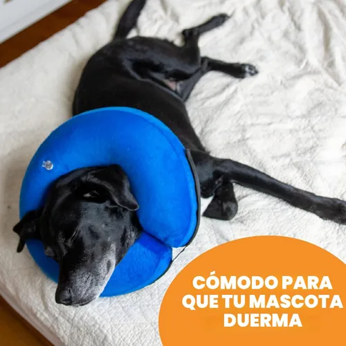 Vista 6 de BENCMATE - Cuello inflable y suave para perros, alternativa al collar isabelino, para gatos y perros pequeños, medianos y grandes, dona para Azul