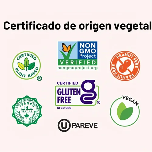 Vista 4 de Salsa de queso cheddar sin lácteos, rica a base de plantas, cremosa, salsa de queso, 14.2 onzas (paquete de 8)